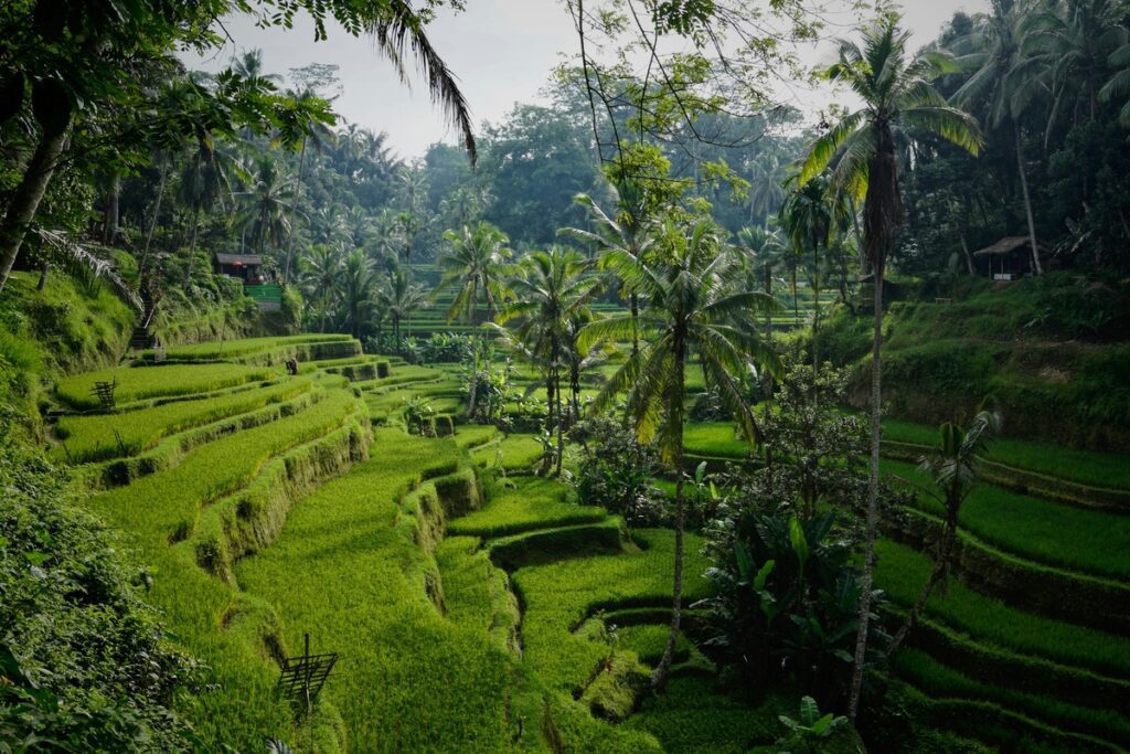 Bali_Yoga_Retreat