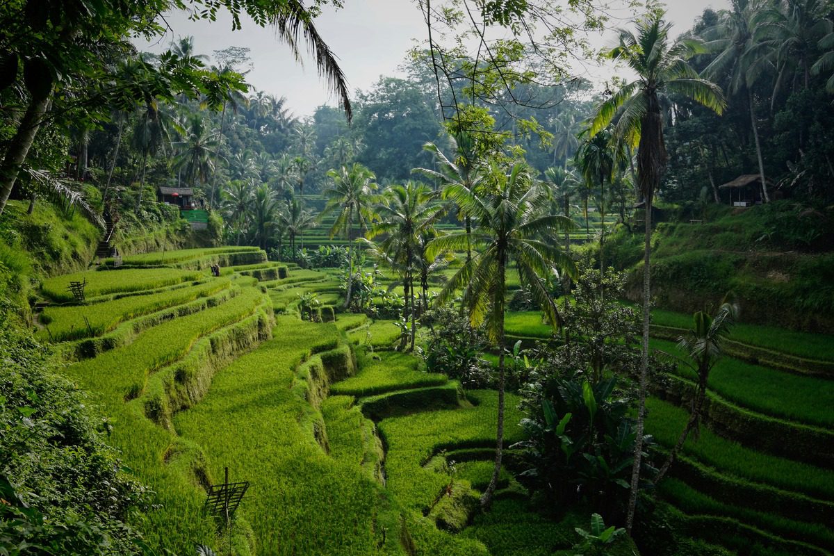 Bali_Yoga_Retreat